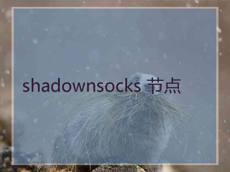 shadownsocks 节点