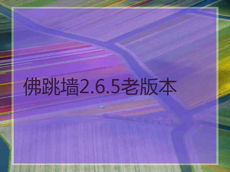 佛跳墙2.6.5老版本