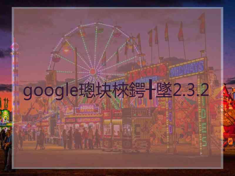 google璁块棶鍔╂墜2.3.2