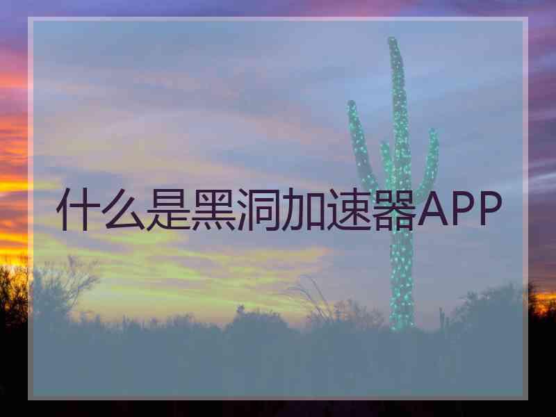 什么是黑洞加速器APP