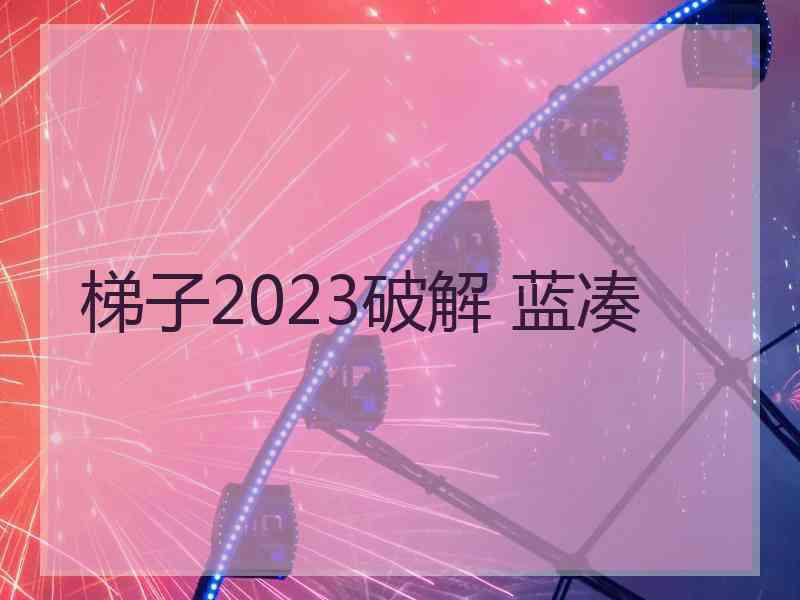 梯子2023破解 蓝凑