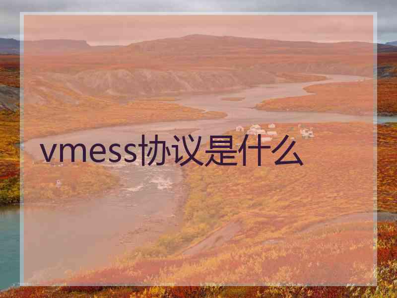 vmess协议是什么