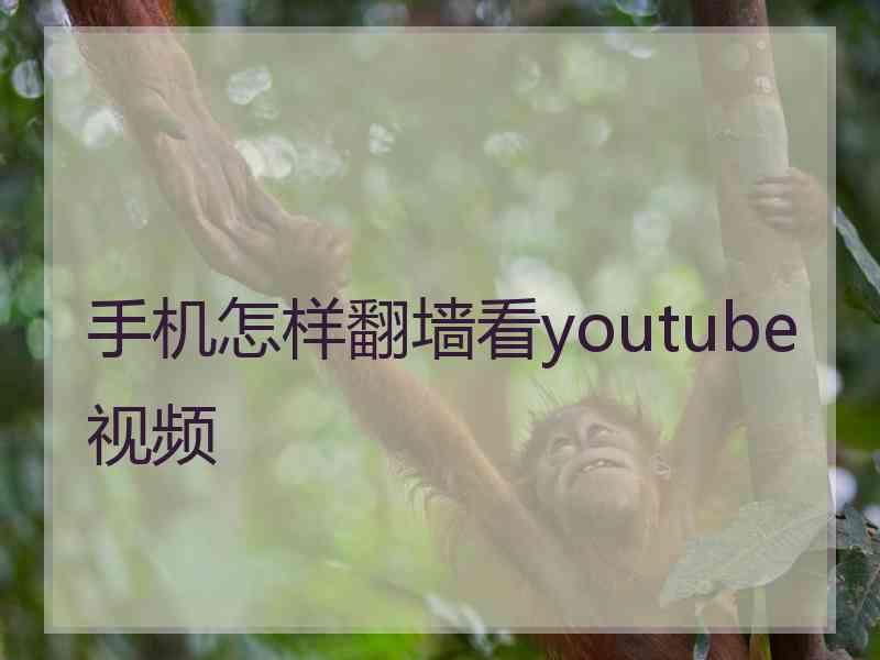 手机怎样翻墙看youtube视频