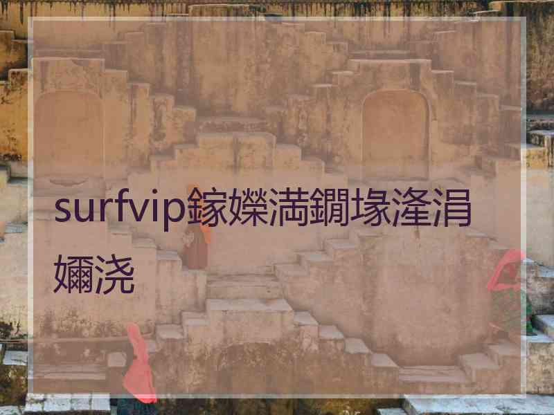 surfvip鎵嬫満鐗堟湰涓嬭浇