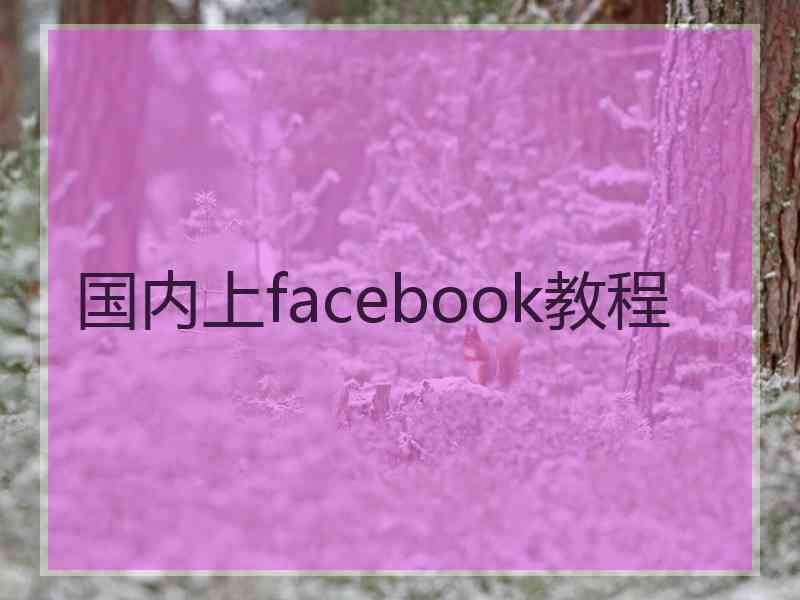 国内上facebook教程