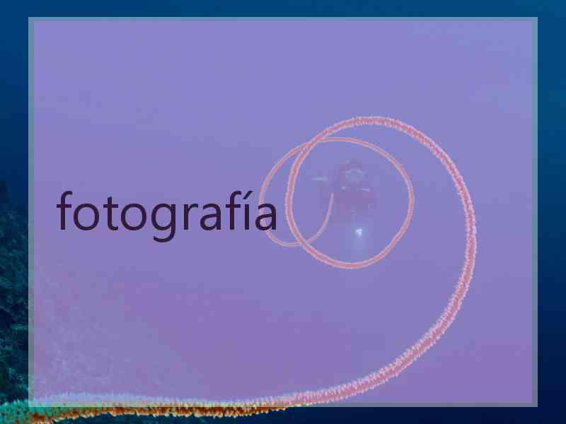 fotografía