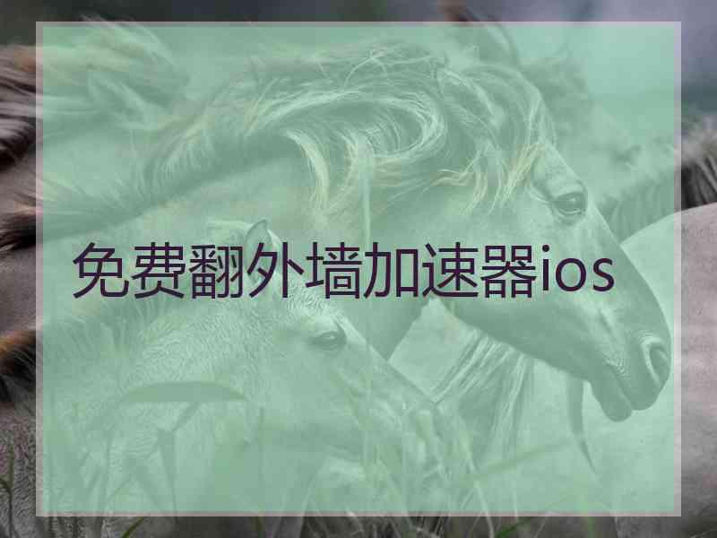 免费翻外墙加速器ios