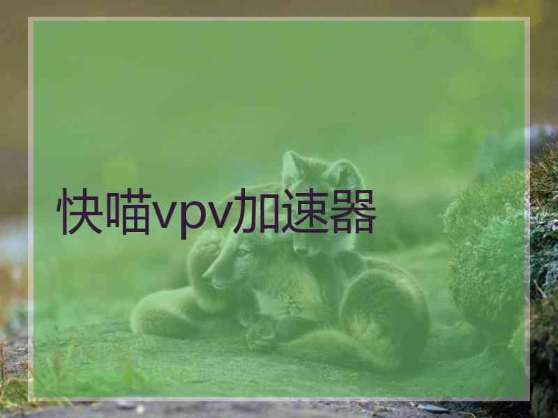 快喵vpv加速器