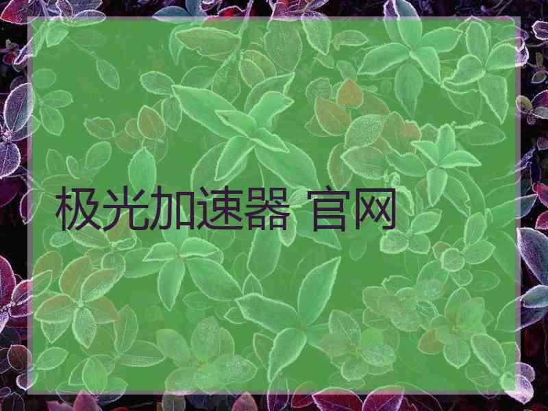 极光加速器 官网