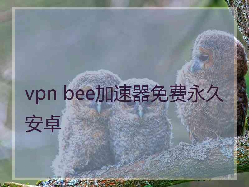 vpn bee加速器免费永久安卓