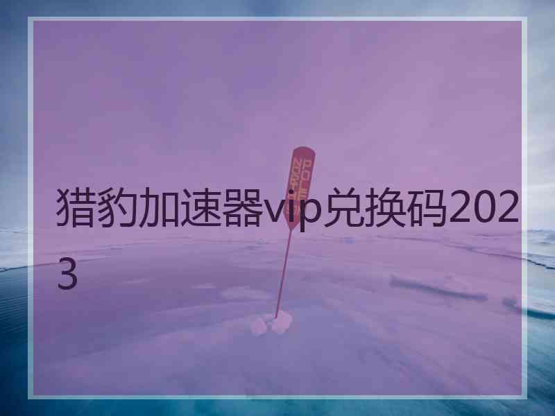 猎豹加速器vip兑换码2023