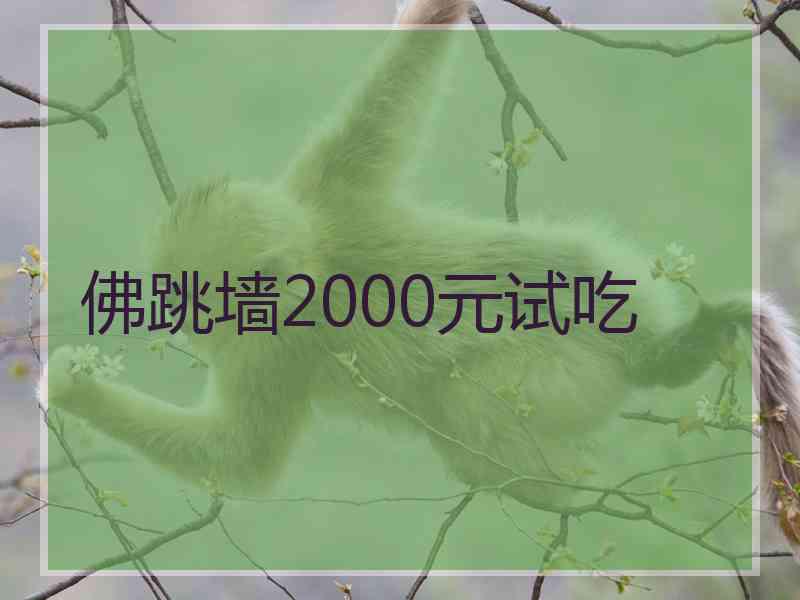 佛跳墙2000元试吃