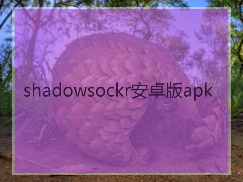 shadowsockr安卓版apk