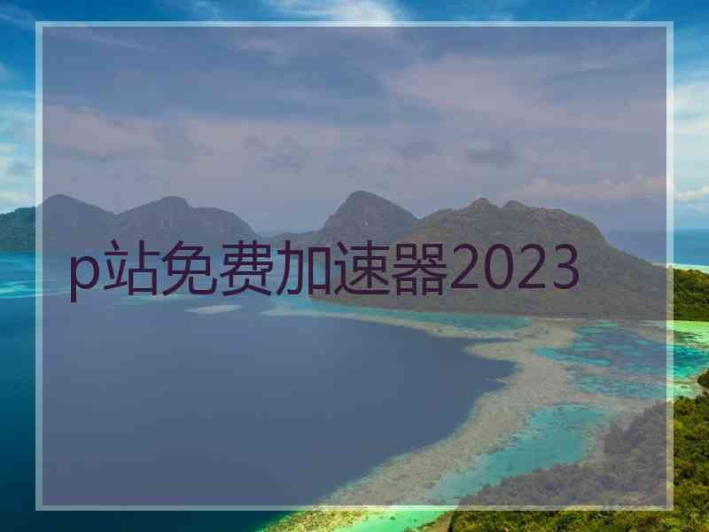 p站免费加速器2023