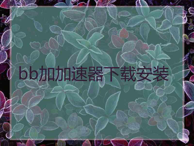 bb加加速器下载安装