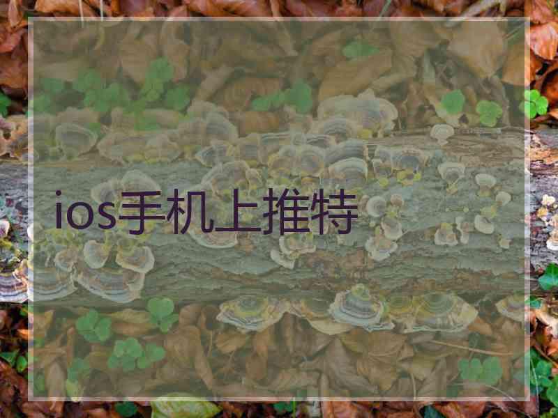 ios手机上推特