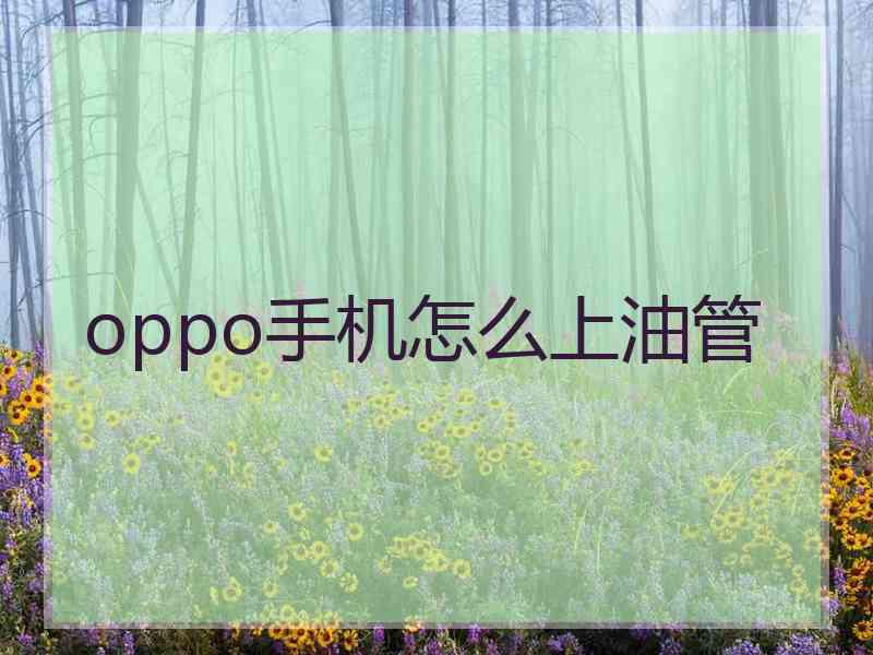 oppo手机怎么上油管