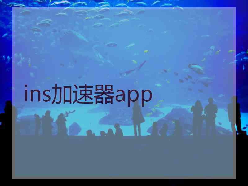 ins加速器app