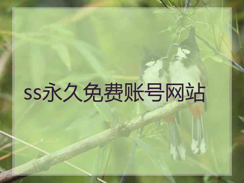 ss永久免费账号网站