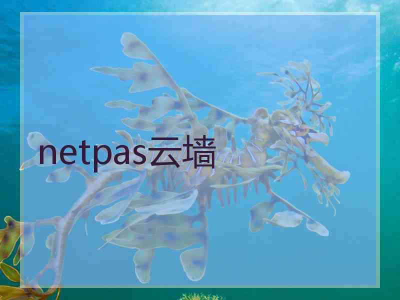 netpas云墙