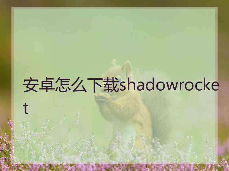 安卓怎么下载shadowrocket