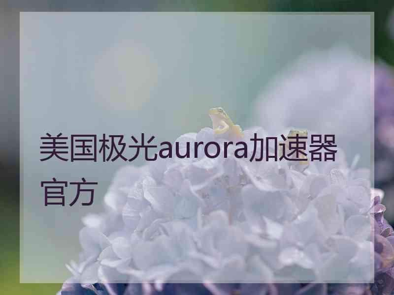 美国极光aurora加速器官方