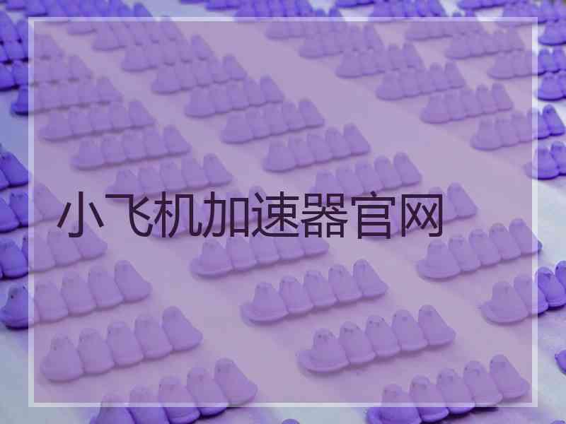 小飞机加速器官网