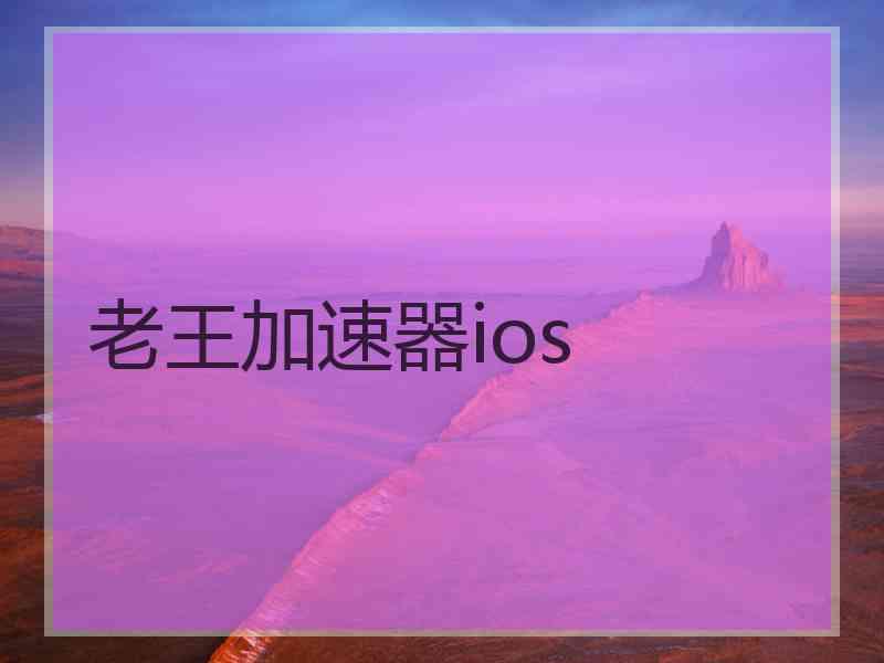 老王加速器ios