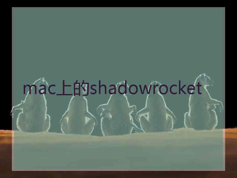 mac上的shadowrocket