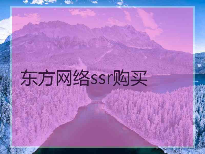 东方网络ssr购买