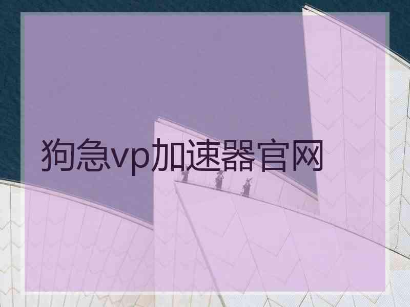 狗急vp加速器官网