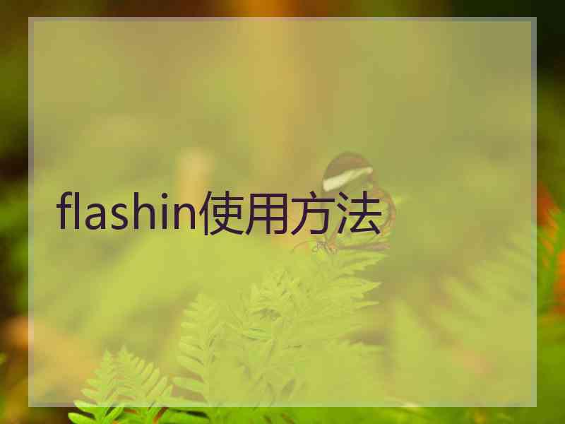 flashin使用方法