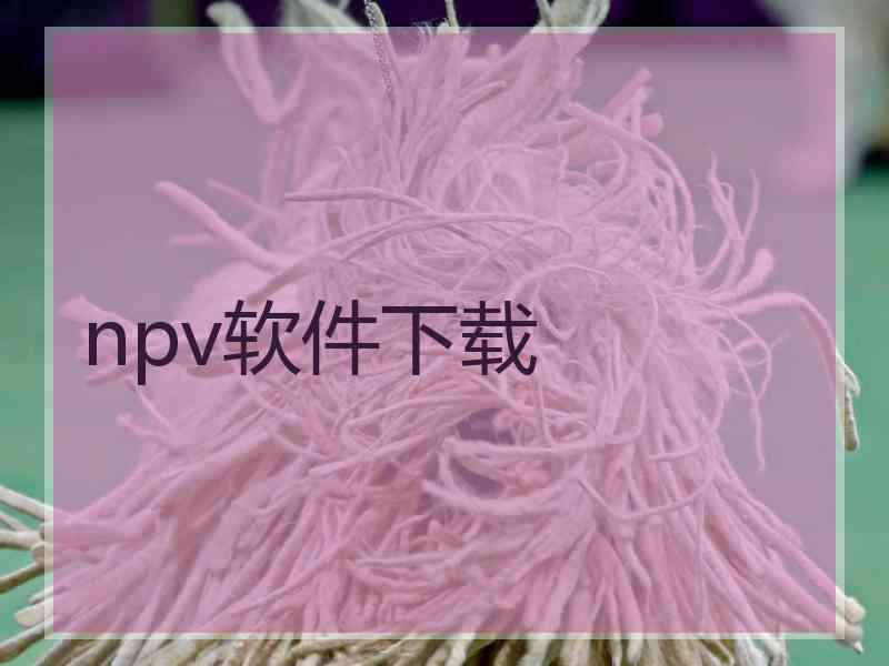 npv软件下载