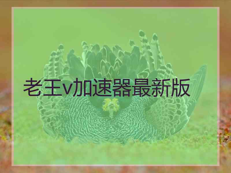 老王v加速器最新版