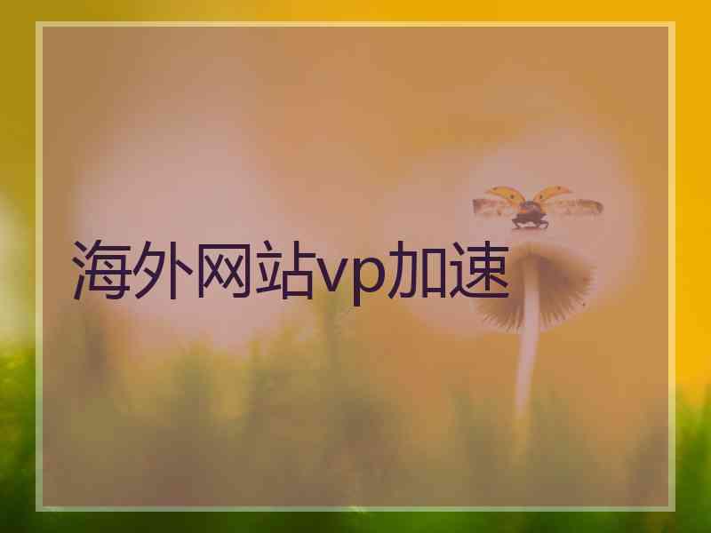 海外网站vp加速