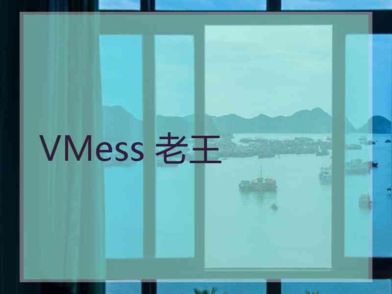 VMess 老王