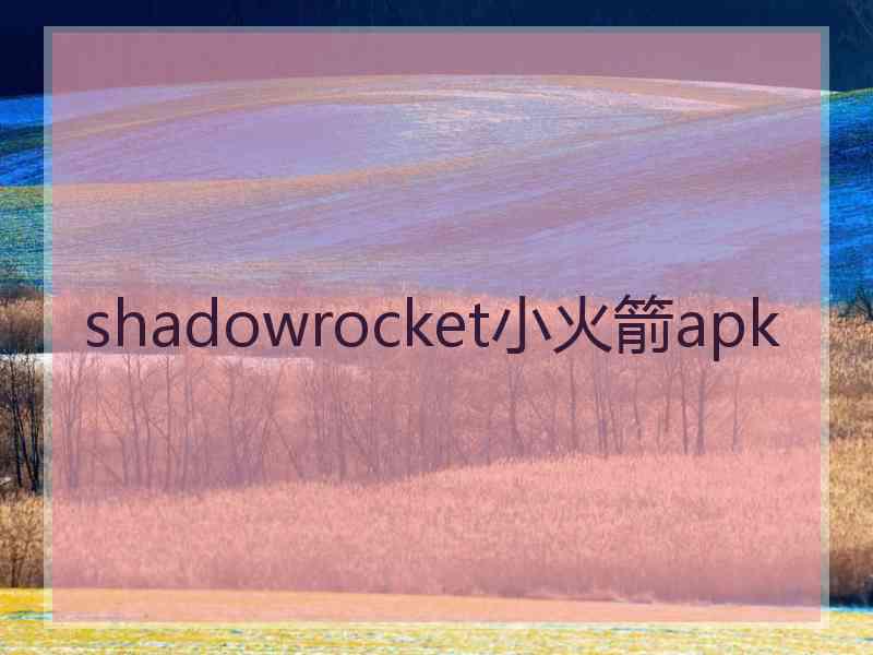 shadowrocket小火箭apk