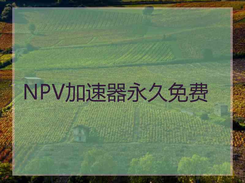 NPV加速器永久免费