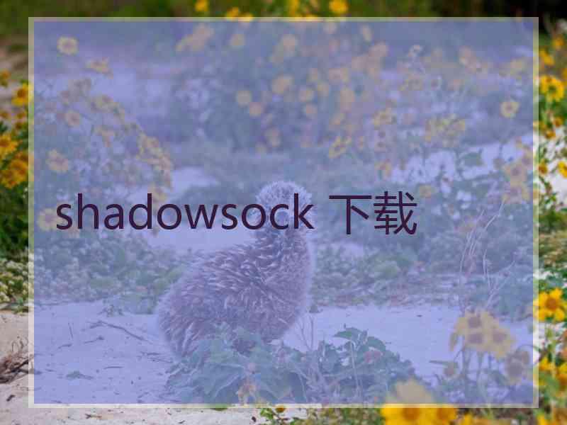 shadowsock 下载