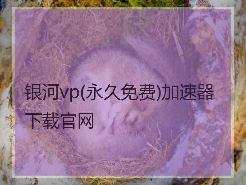 银河vp(永久免费)加速器下载官网