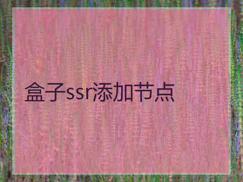 盒子ssr添加节点