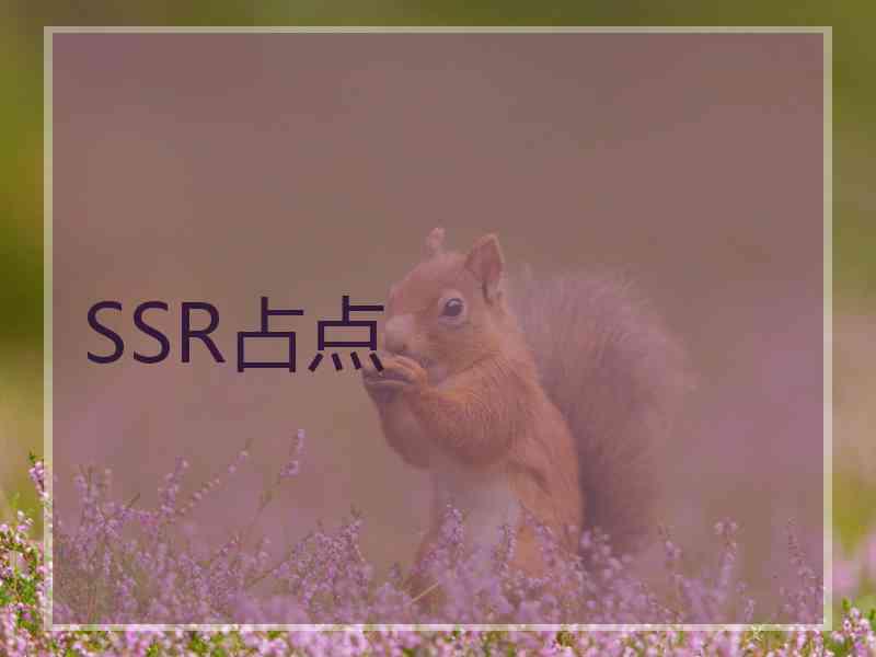 SSR占点