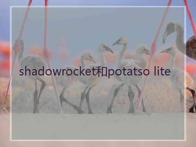 shadowrocket和potatso lite