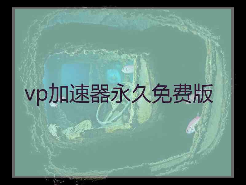 vp加速器永久免费版