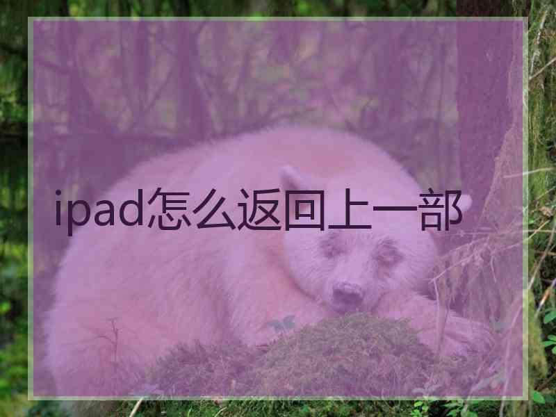 ipad怎么返回上一部