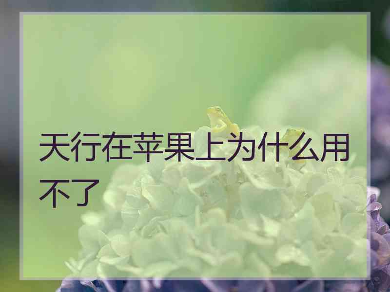 天行在苹果上为什么用不了