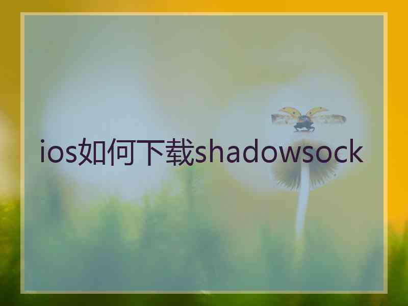 ios如何下载shadowsock