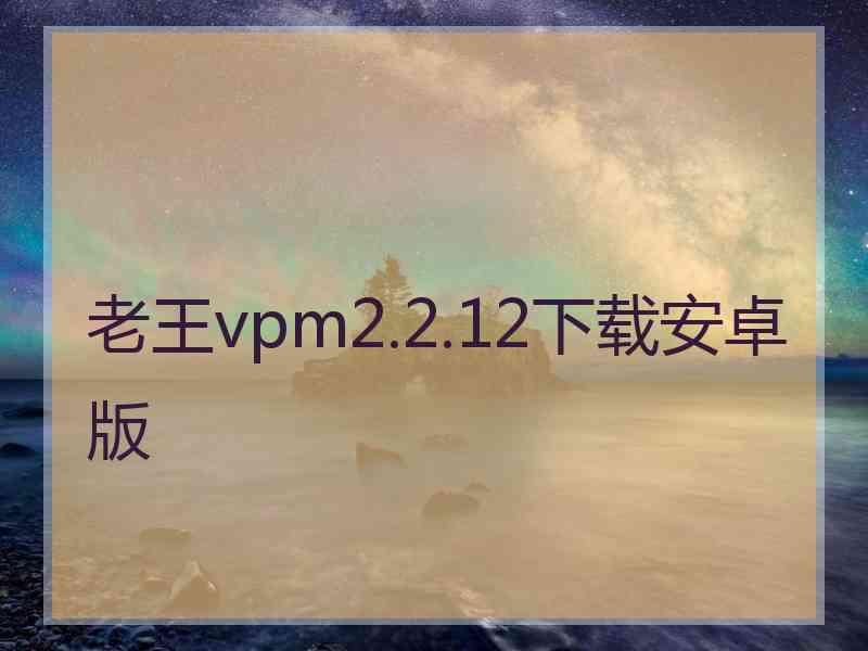 老王vpm2.2.12下载安卓版