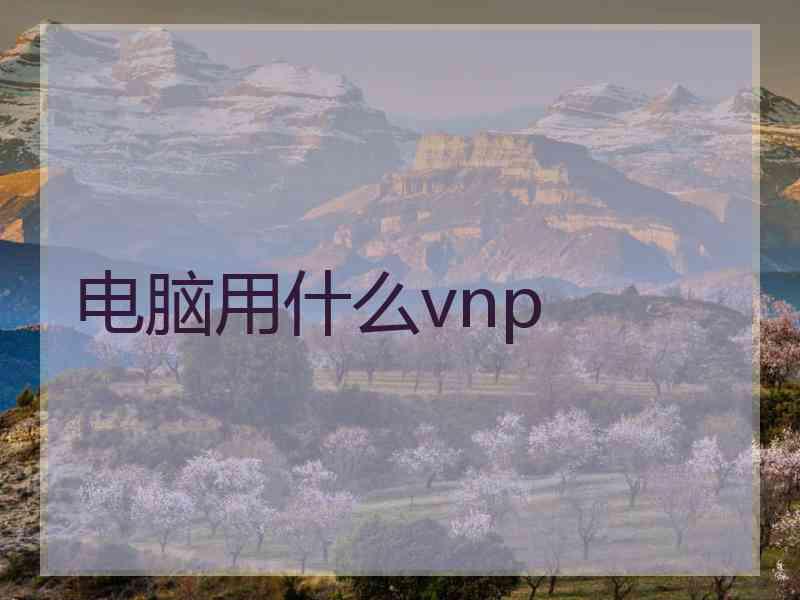 电脑用什么vnp