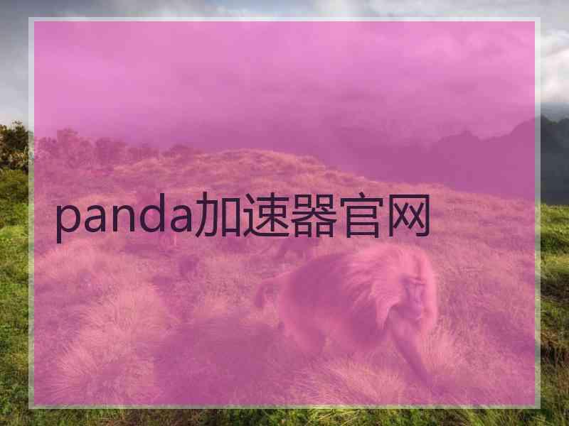 panda加速器官网